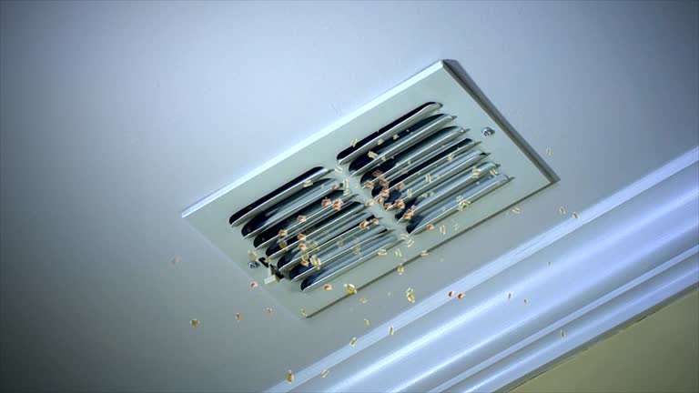 Air Duct Mold Removal in Rochelle, IL