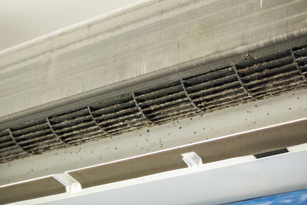 Best HVAC Air Duct Cleaning  in Rochelle, IL
