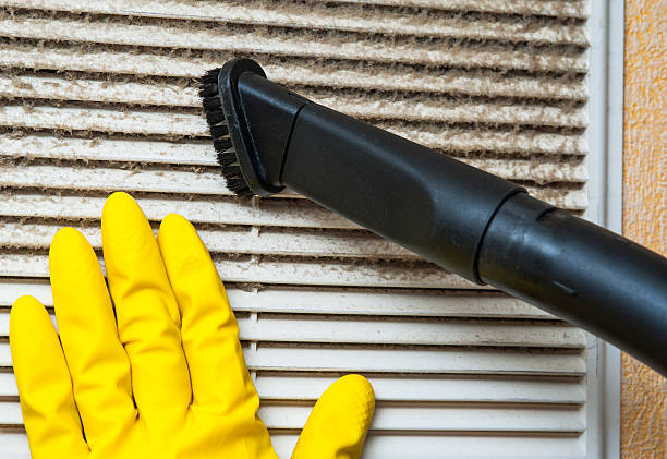 Best Local Air Duct Cleaning Services  in Rochelle, IL